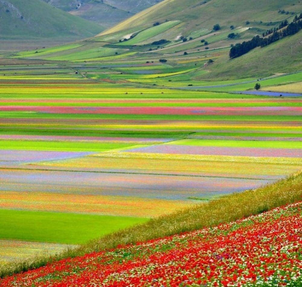 pesona Castelluccio di Norcia (Instagram.com/marielouisescio)