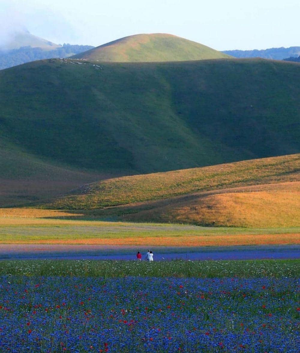 pesona Castelluccio di Norcia (Instagram.com/umbria_in_pillole)