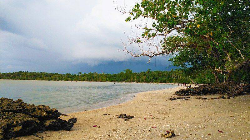 Pantai Cilintang di Taman Nasional Ujung Kulon. (commons.wikimedia.org)