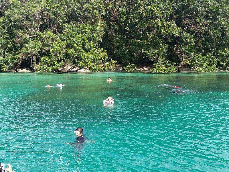 Wisatawan sedang snorkling di Pulau Badul, Taman Nasional Ujung Kulon. (commons.wikimedia.org)