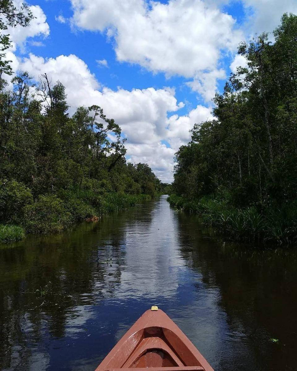 Sungai Sekonyer, Kalimantan Tengah (instagram.com/antoniuswu)
