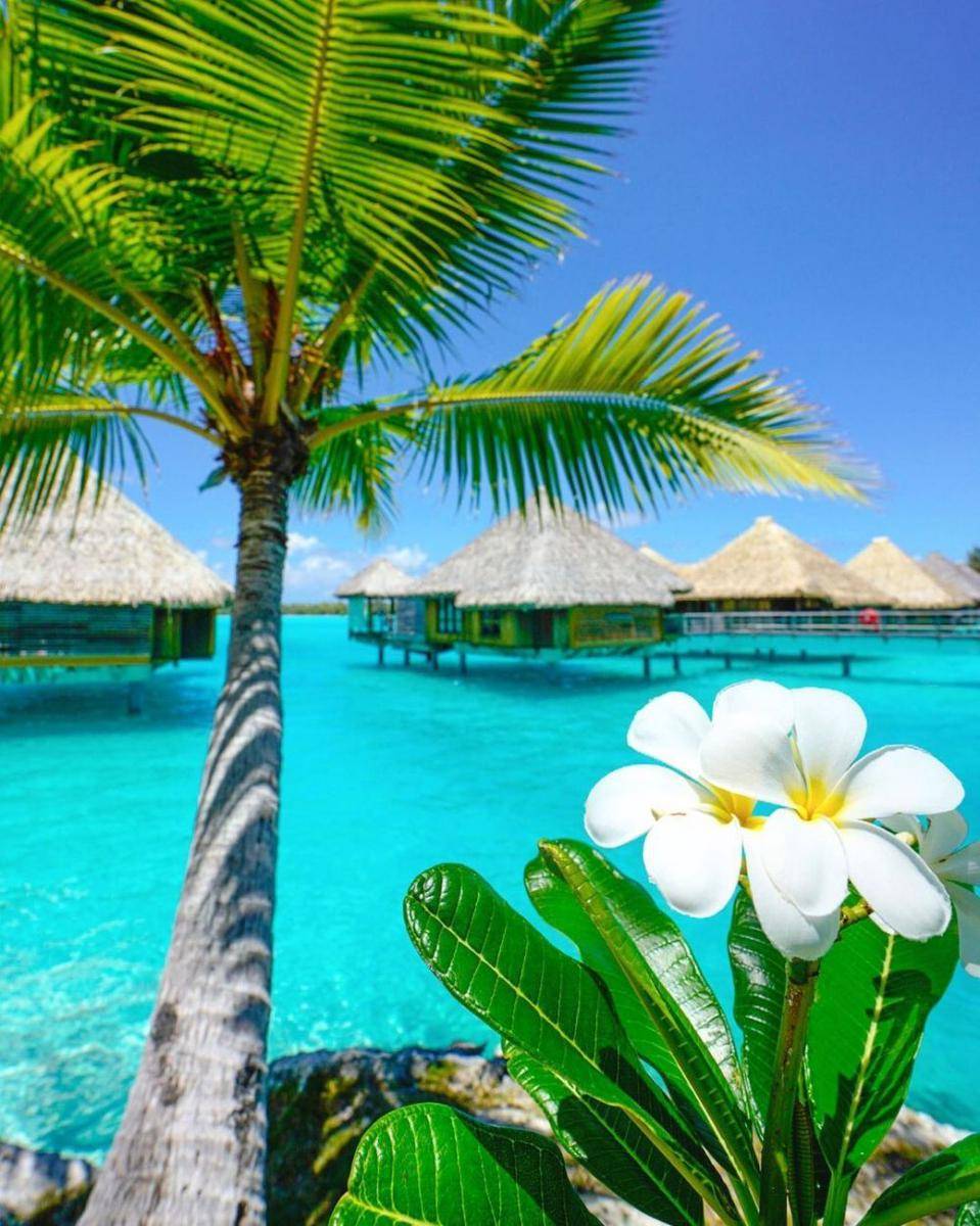 Pulau Bora Bora (instagram.com/kincaidgalleries)