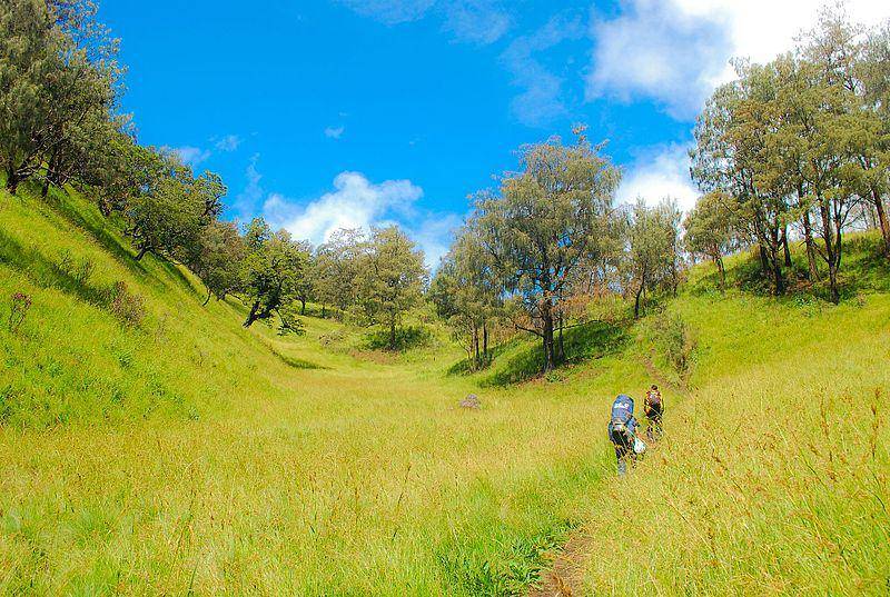 Sabana Bulak Peperangan di Gunung Lawu. (commons.wikimedia.org)
