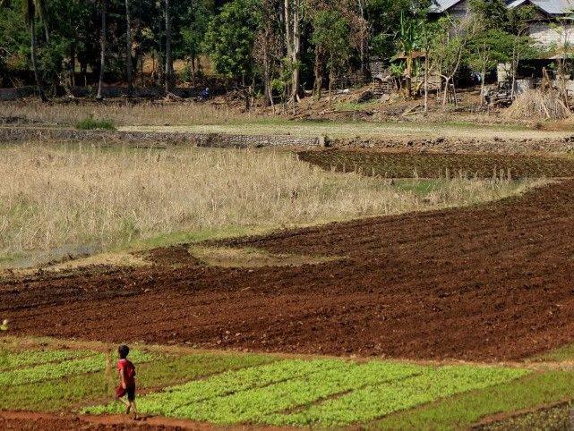 Wow! Danau Baru Imbas Siklon Seroja di Kupang Mengering