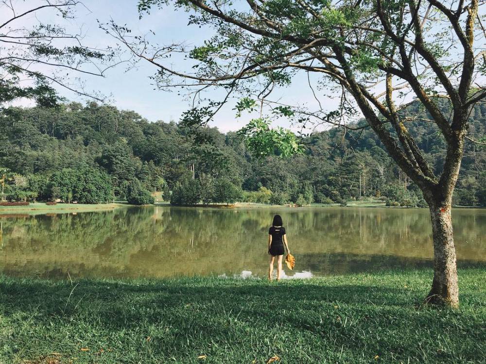 Sensasi berlari di hutan yang lebat bisa kamu dapatkan di sini. (instagram.com/kkuan_)