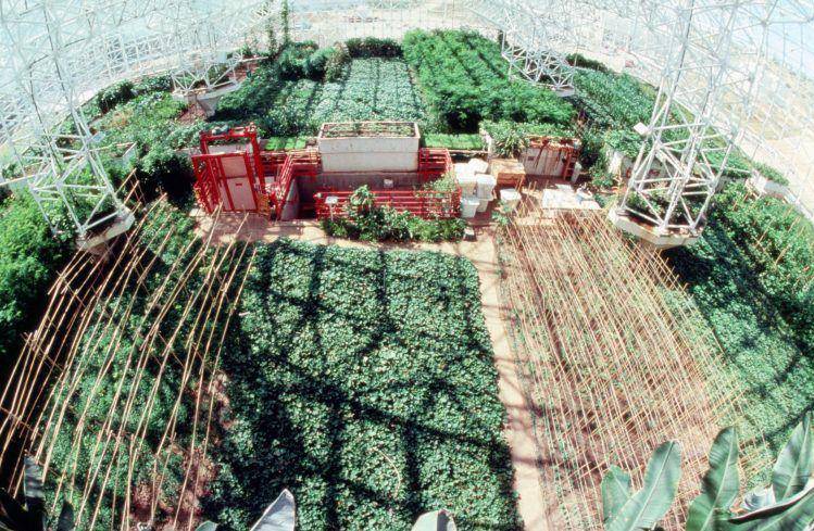 pertanian Biosphere 2 (uapress.arizona.edu)