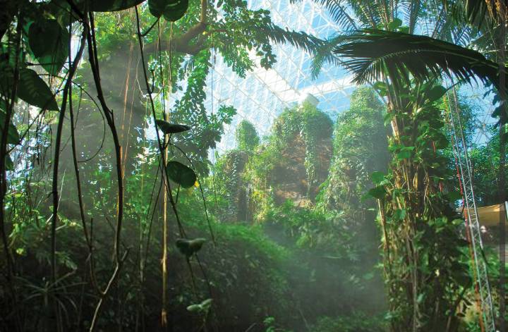 hutan hujan di Biosphere 2 (dartmouthalumnimagazine.com)