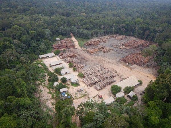 Peristiwa pembakaran tempat pemukiman di kawasan Amazon di Brazil pada hari Kamis, 27 Mei 2021, waktu setempat. (Twitter.com/AmazonMiller)