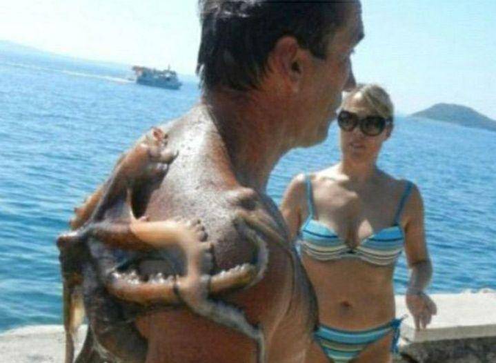 kejadian lucu saat liburan di pantai (escape.com.au)