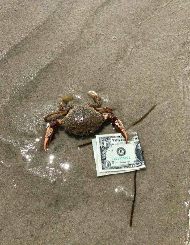 kejadian lucu saat liburan di pantai (diply.com)