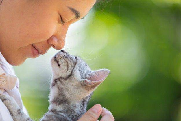 ilustrasi perempuan dan kucing peliharaannya (freepik.com/jcomp)