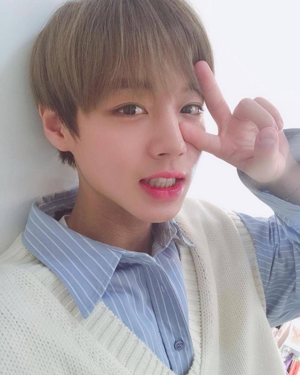 Park Ji Hoon (instagram.com/0529.jihoon.ig)