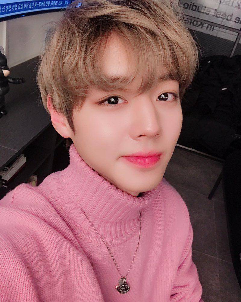 Park Ji Hoon (instagram.com/0529.jihoon.ig)