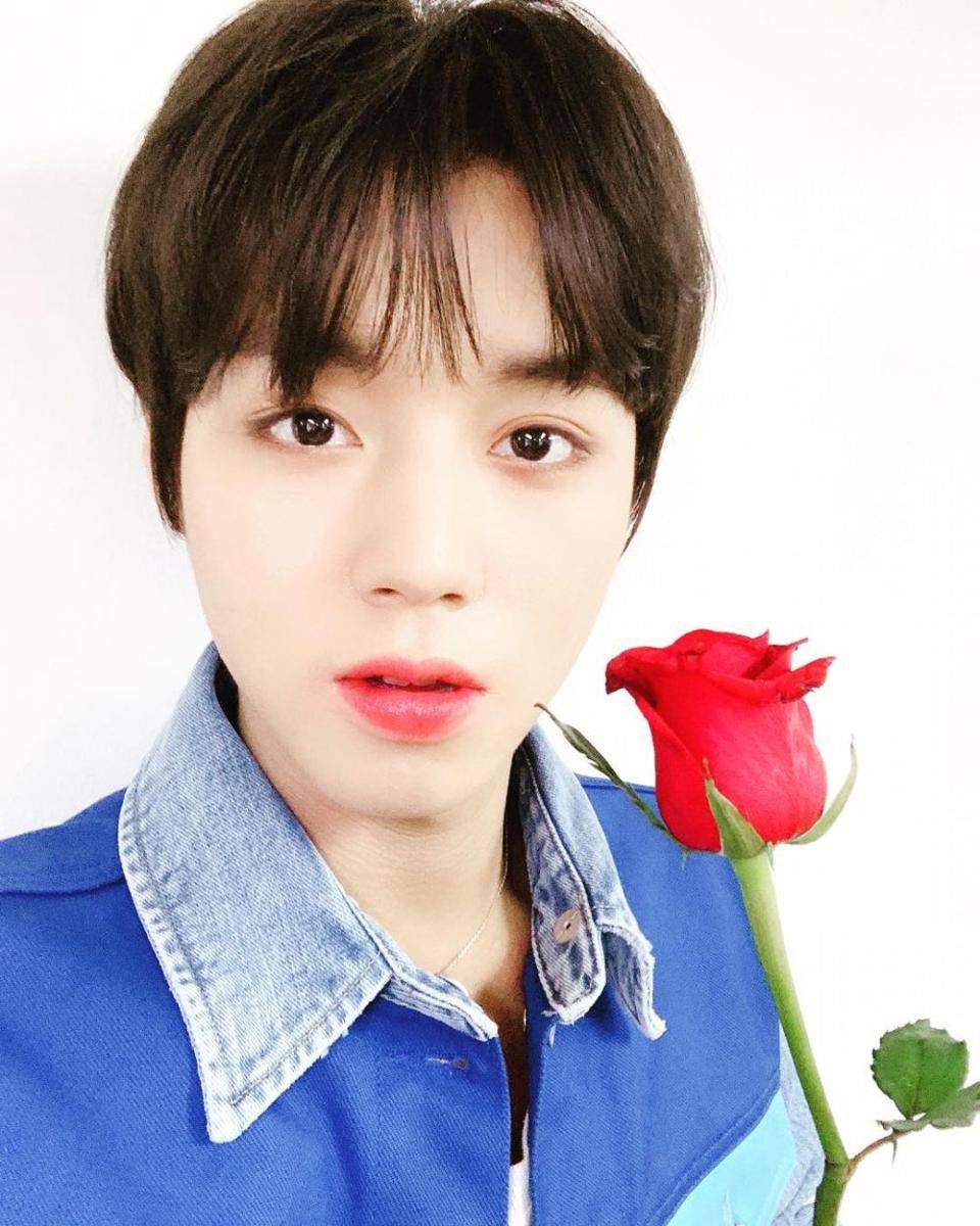 Park Ji Hoon (instagram.com/0529.jihoon.ig)