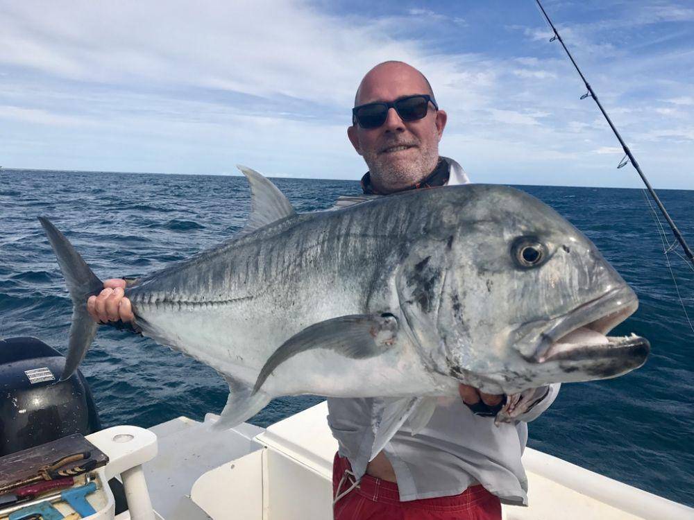 ikan Giant Trevally (inaturalist.org/bouckap)