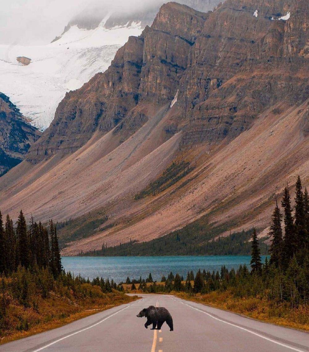 fakta dan pesona Taman Nasional Banff (Instagram.com/alberta)
