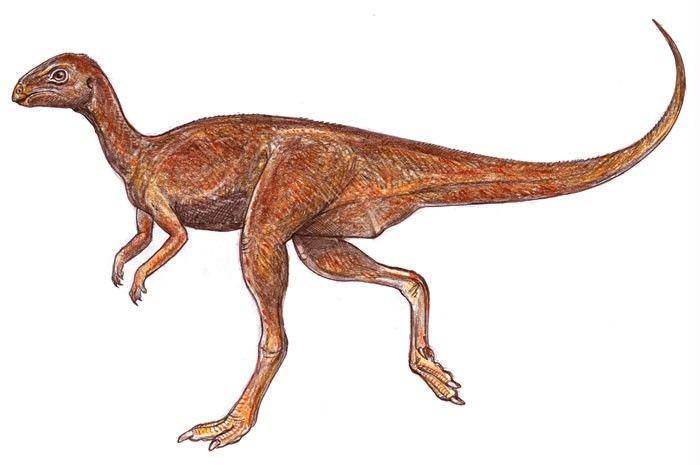 Gasparinisaura (dinosaurpictures.org)