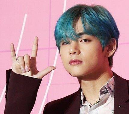 V BTS (dok. Naver)