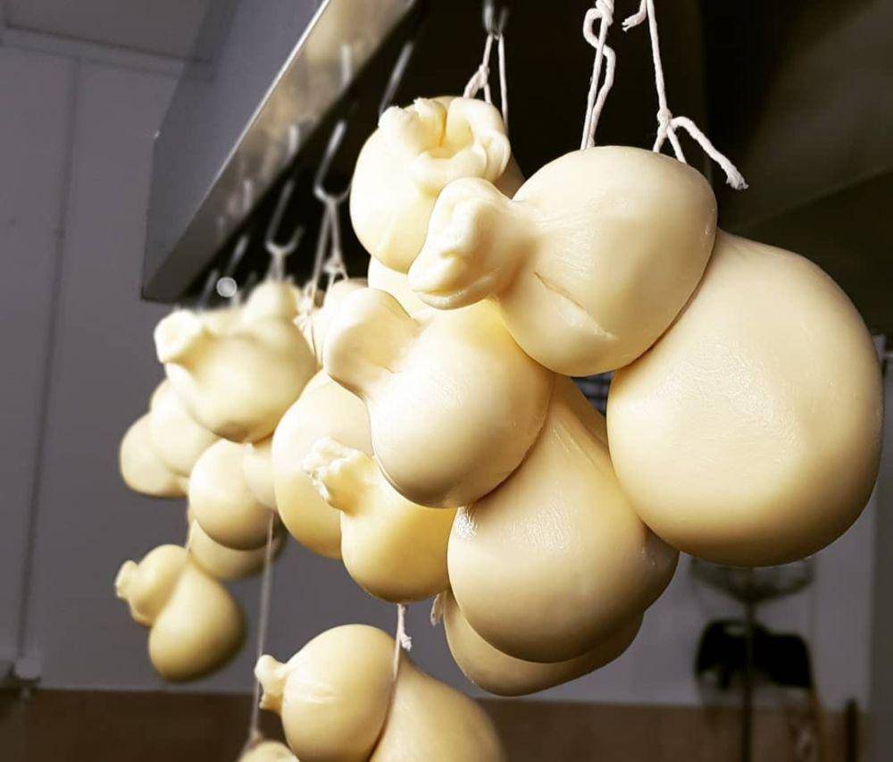 ilustrasi scamorza (Instagram.com/bianca_mozzarella)