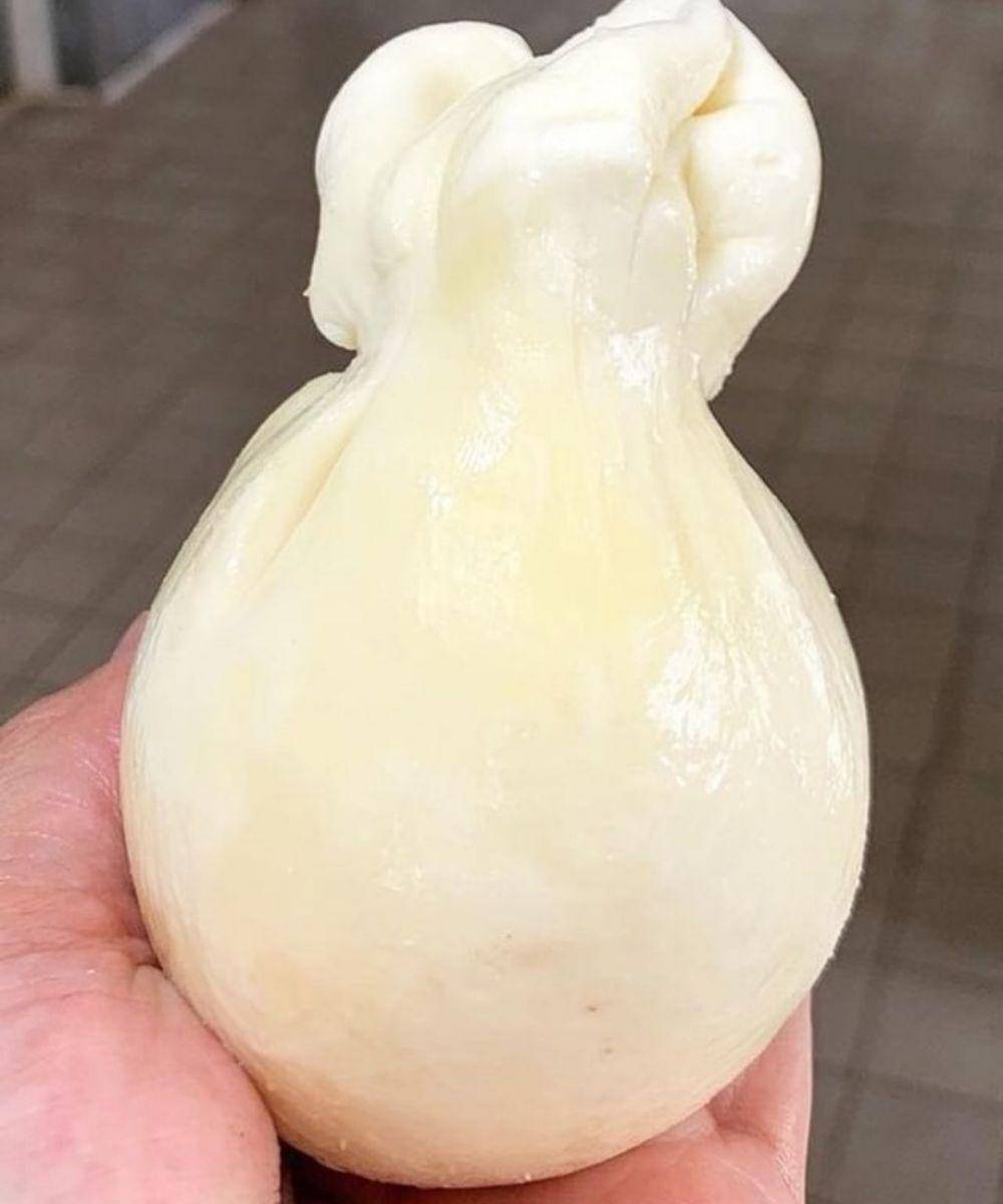 ilustrasi scamorza (Instagram.com/granierlat)