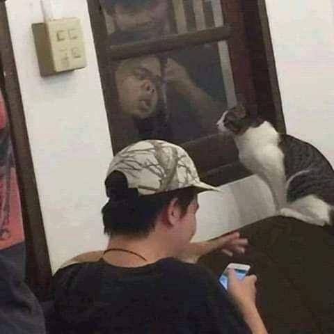 potret selfie tukar wajah (twitter.com/hidupberjalaan)