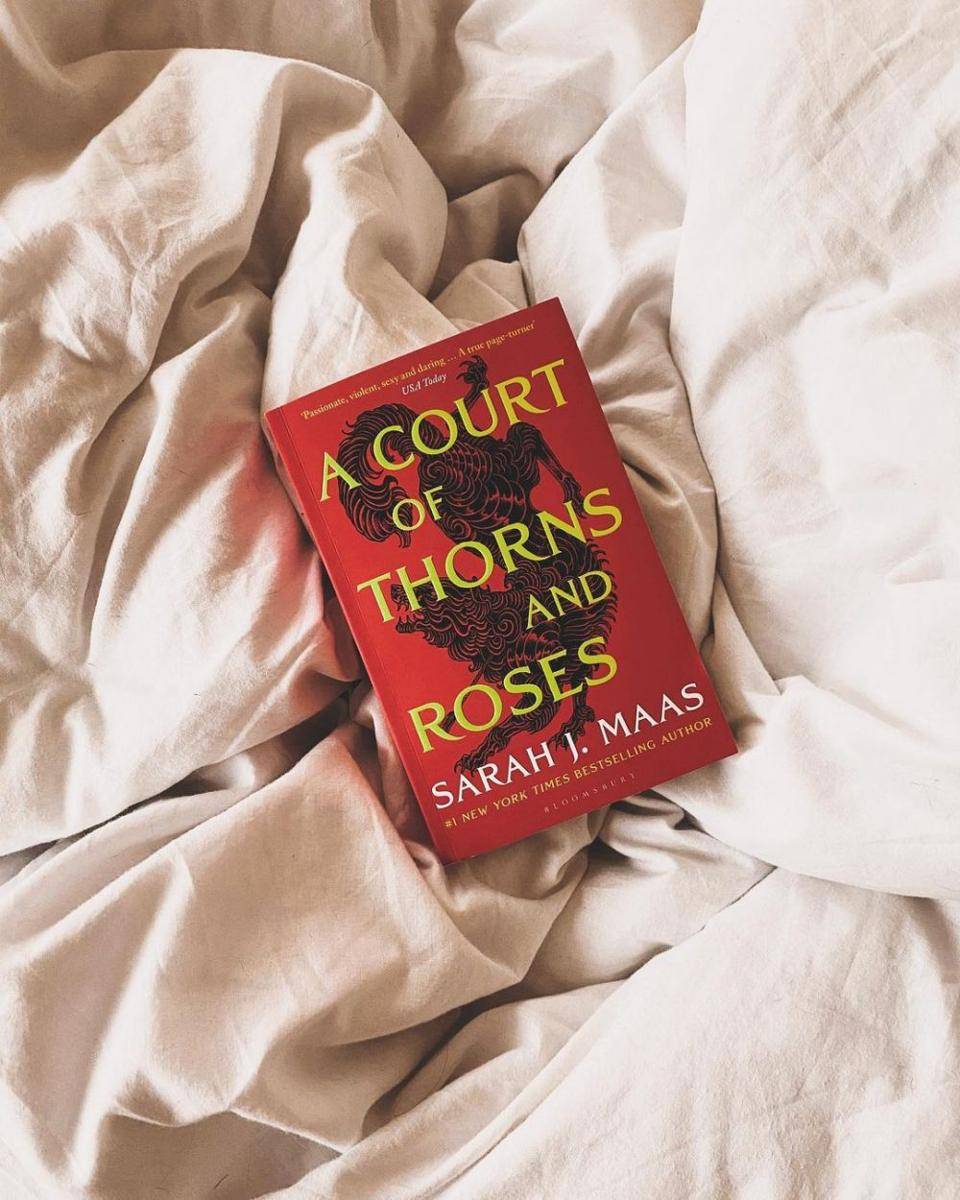 A Court of Thorns and Roses oleh Sarah J. Maas (instagram.com/alexawritingmagic)