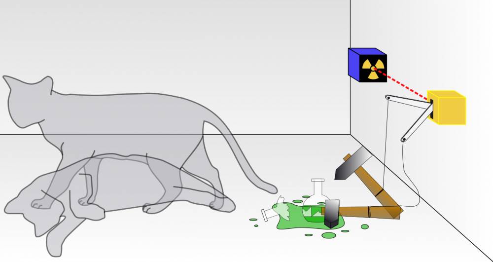 ilustrasi eksperimen imajiner "Kucing Schrödinger" (wikimedia.org)