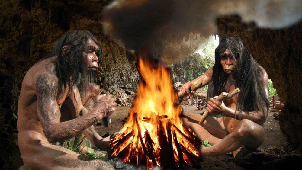 8 Manusia Purba yang Dulu Pernah Tinggal di Bumi Mendampingi Kita