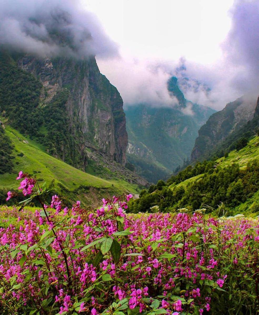 The Valley of the Flowers (instagram.com/indian.backpacker)