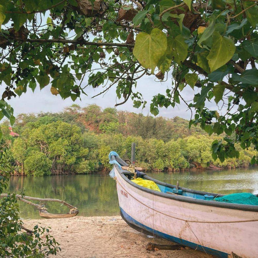 Agonda Beach (instagram.com/freeandrosie)
