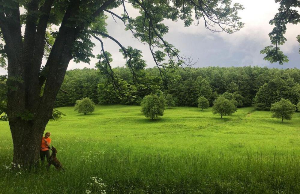 5 Taman di Hongaria yang Tak Boleh Dilewatkan, Bikin Penat Hilang!