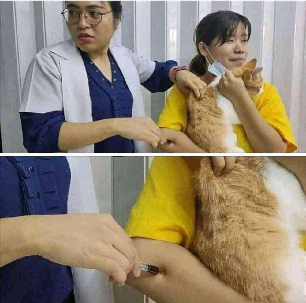 potret gak lihat belakang (instagram.com/asupanmemekocak)