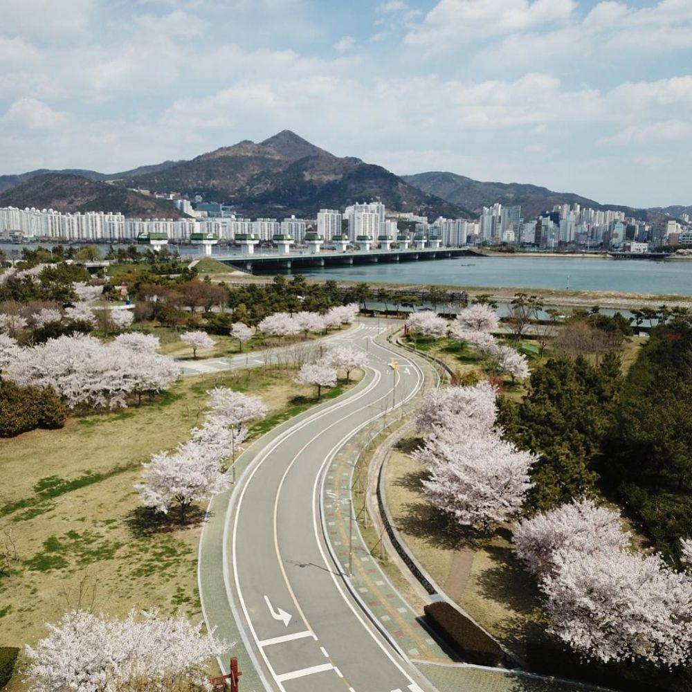 Eulsukdo Island (instagram.com/nakdongriverecocenter)