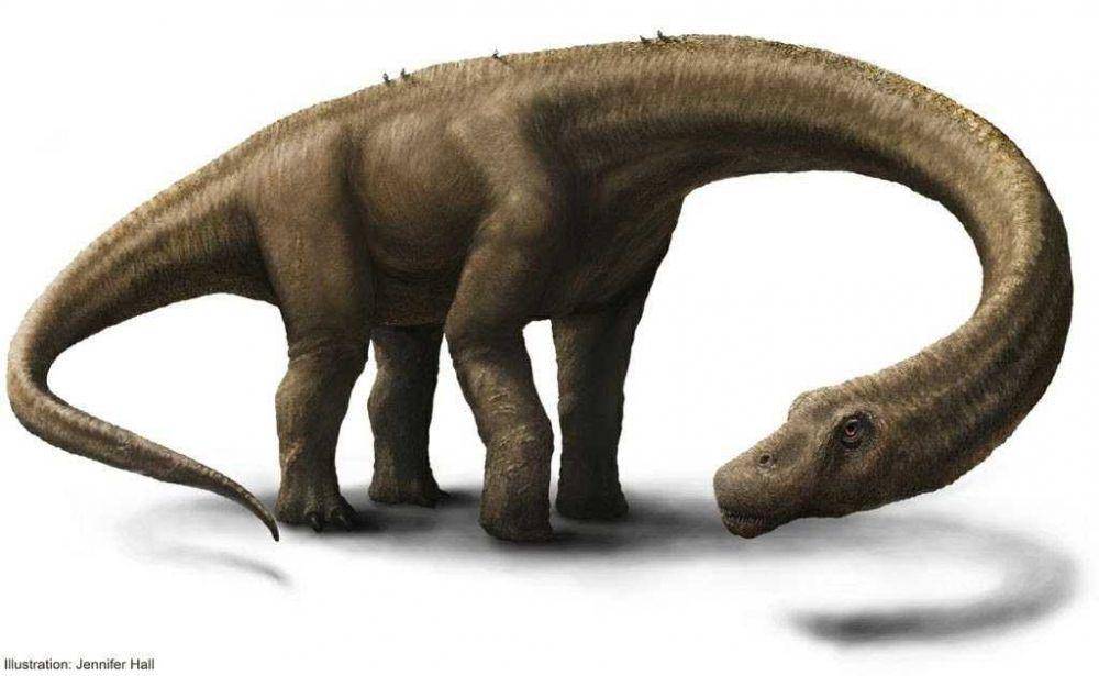 ilustrasi Dreadnoughtus (Dok. Jennifer Hall via livescience.com)