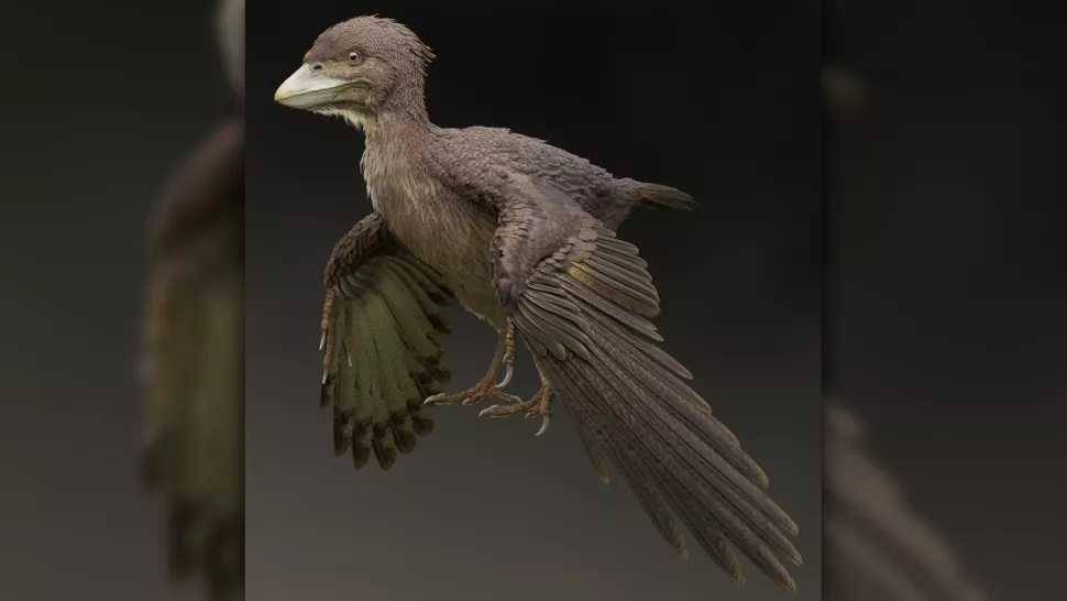 ilustrasi fukuipteryx(livescience.com/Masanori Yoshida)