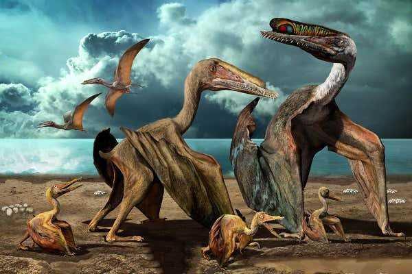 Selain Pterosaurus, Ini 5 Dinosaurus yang Dapat Terbang