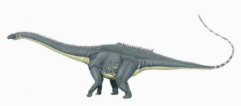 ilustrasi Diplodocus(iknowdino.com)