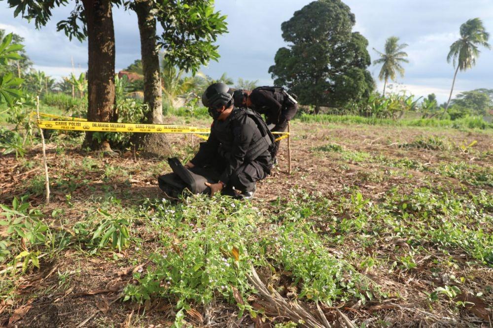 Seorang petani pemanenan singkong temukan granat jenis nanas (IDN Times/Istimewa)