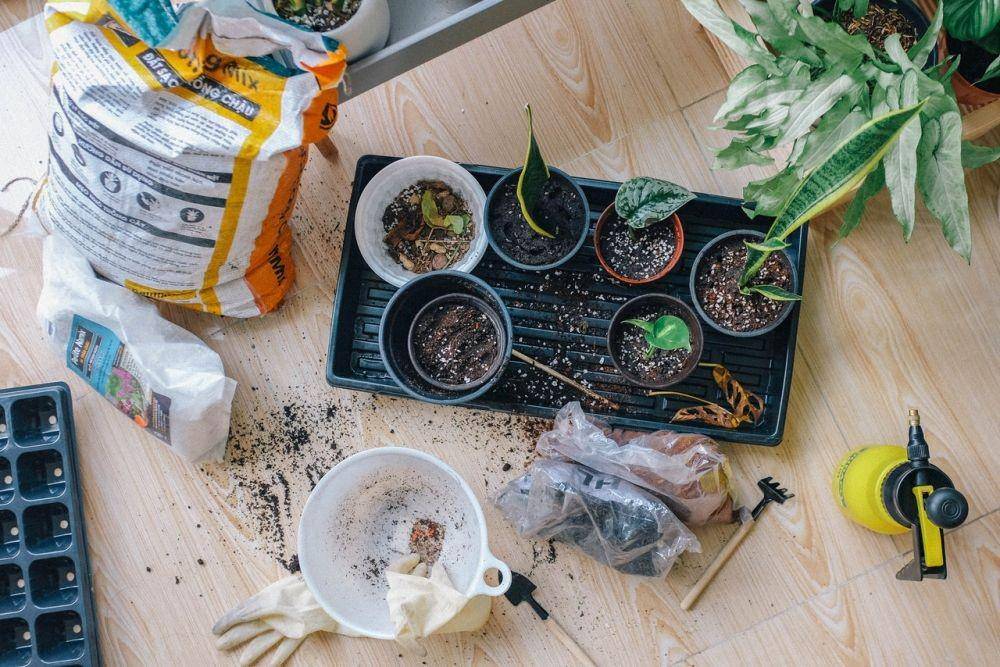 Berkebun bisa menjadi salah satu aktivitas pilihan untuk me time (pexels.com/Huy Phan)