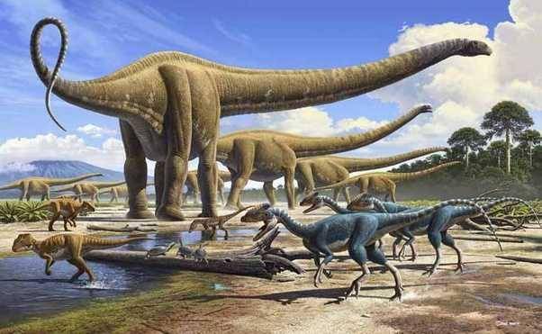 ilustrasi Argentinosaurus(quora.com)