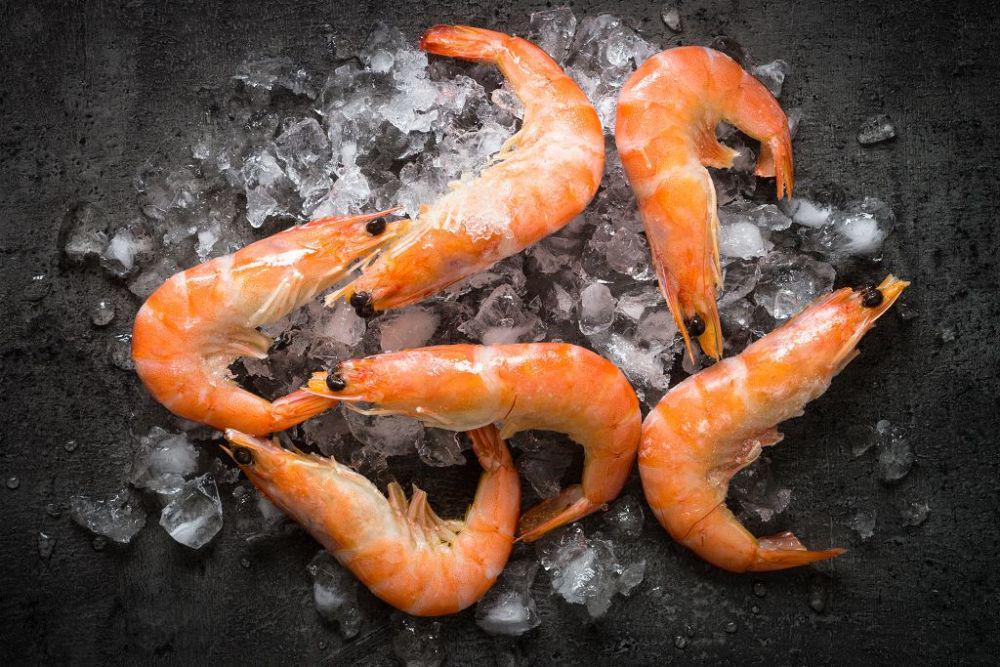 ilustrasi udang (www.simplyhealthyfamily.org)