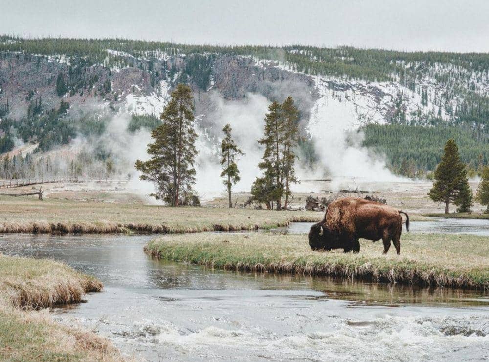 fakta dan pesona Taman Nasional Yellowstone (Instagram.com/dansweaza)
