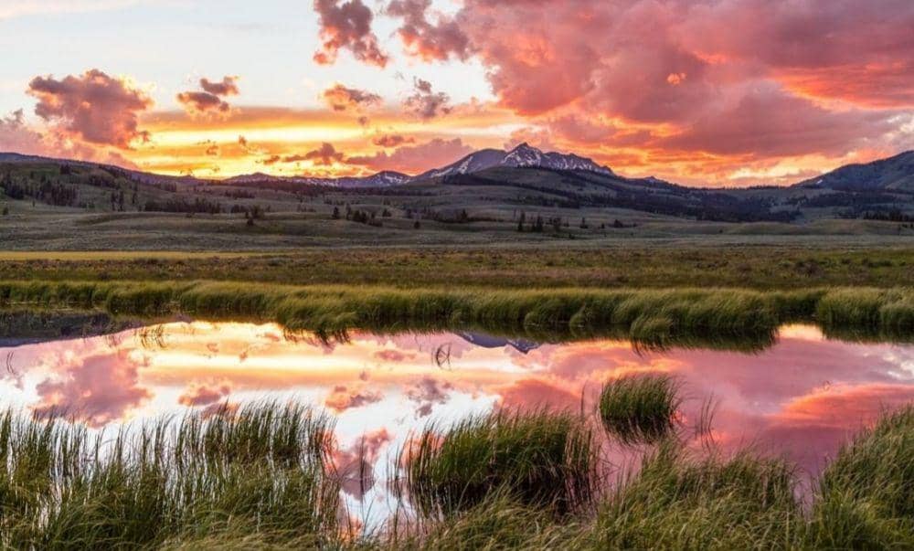 10 Fakta dan Pesona Taman Nasional Yellowstone yang Bikin Terpukau!