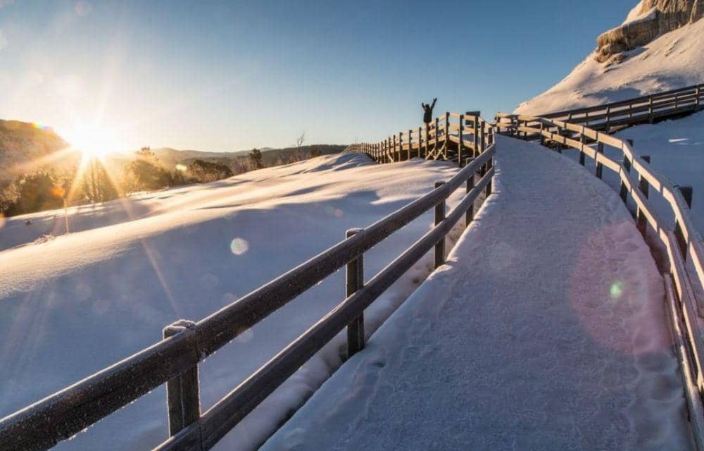fakta dan pesona Taman Nasional Yellowstone (Instagram.com/yellowstonenps)