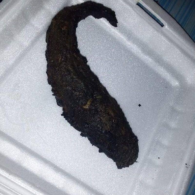 Makanan Gak Sesuai Ekspektasi (instagram.com/_sadfood)