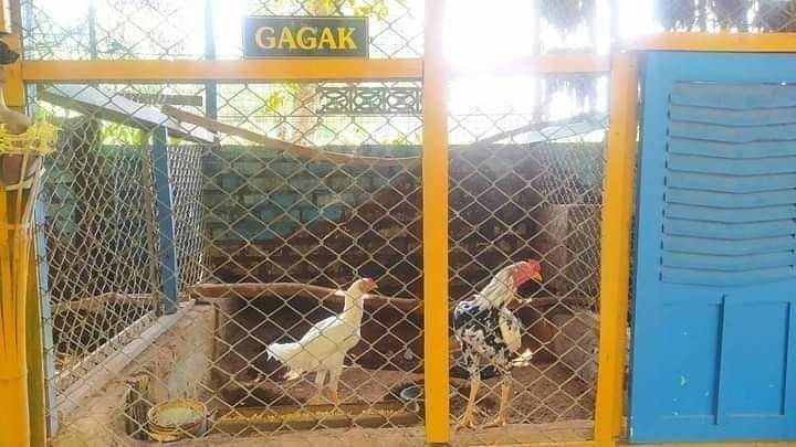 meme salah gaul (instagram.com/wkwkland_real)