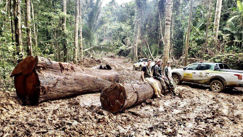 Ricardo Salles saat ikut dalam operasi perlindungan hutan dengan IBAMA, ICMBIO dan militer. (twitter.com/rsallesmma)