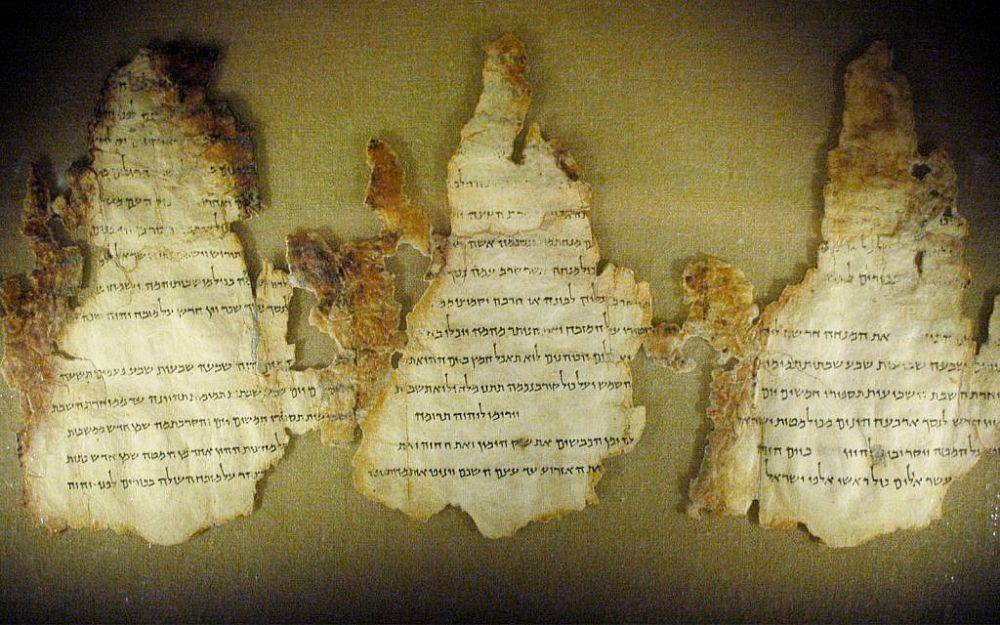 Penemuan gulungan naskah kuno. (timesofisrael.com)