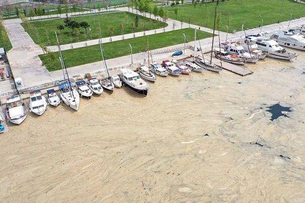 Wabah "sea snot" atau lendir laut telah mengkhawatirkan sekitar laut di Turki dan penduduk Istanbul. (Twitter.com/dakkaynak)
