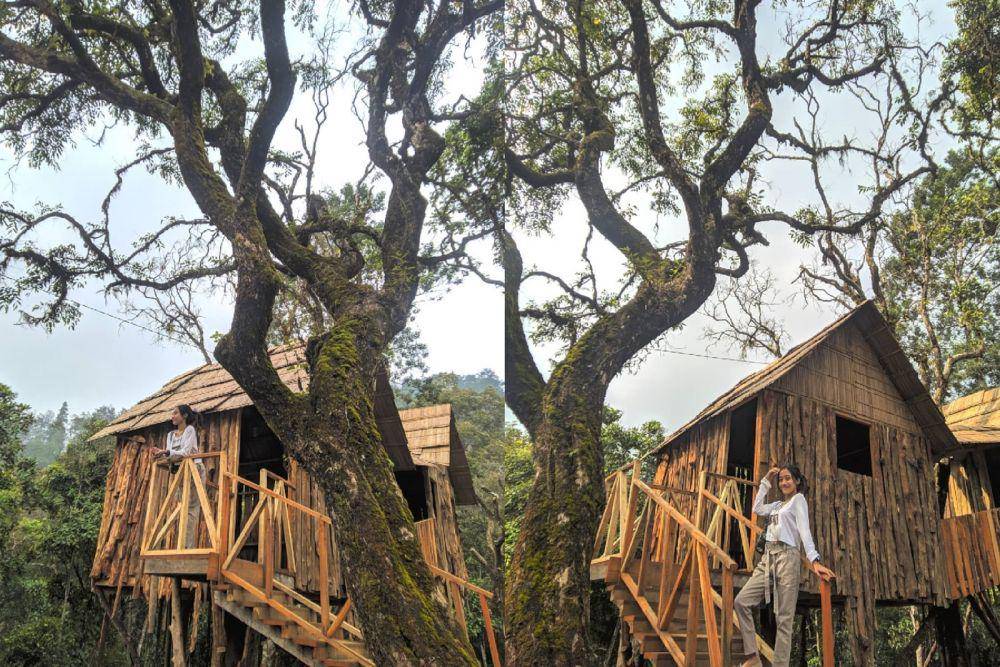 Spot Rumah Kayu di Merbabu Park (instagram.com/safitriharfiyanti)